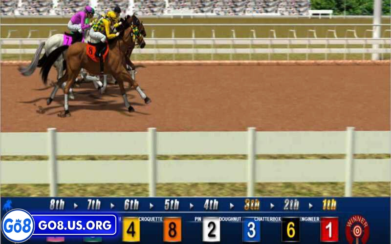 Hình thức cá cược đua ngựa rất đa dạng